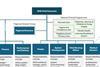 DHSC structure chart