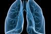 lungs