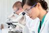 lab staff