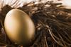 nest_egg_savings_pension_finance