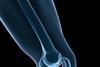 anatomical knee joint