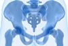 Human hip