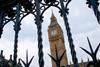 Parliament, policy, politician, government