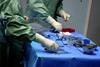 Healthcare professional examine surgical equipment