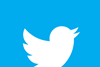 Twitter bird