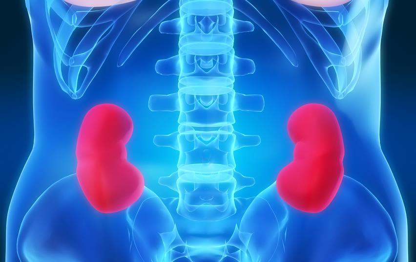 Substandard dialysis did not kill patients, says trust