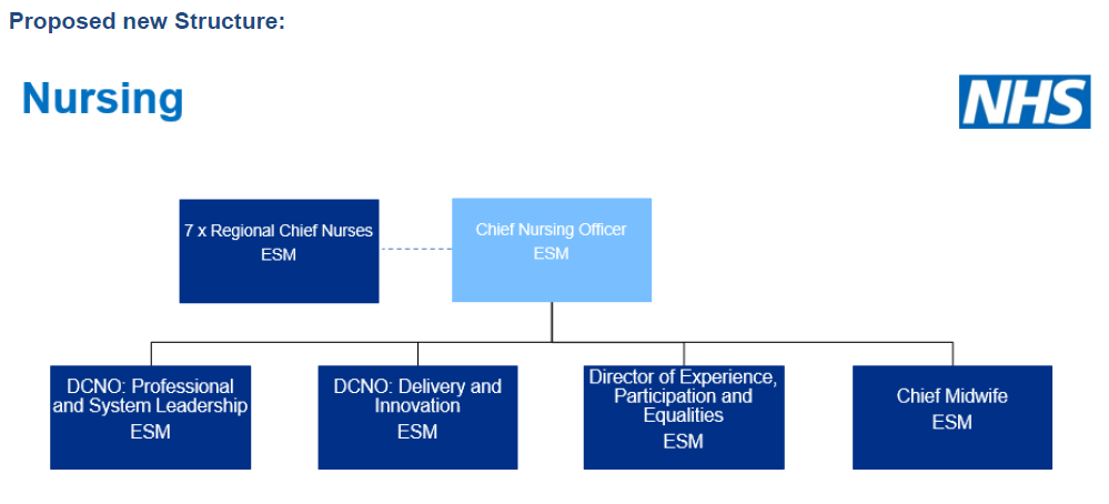 Full details: New NHS England and Improvement structure | News | Health ...