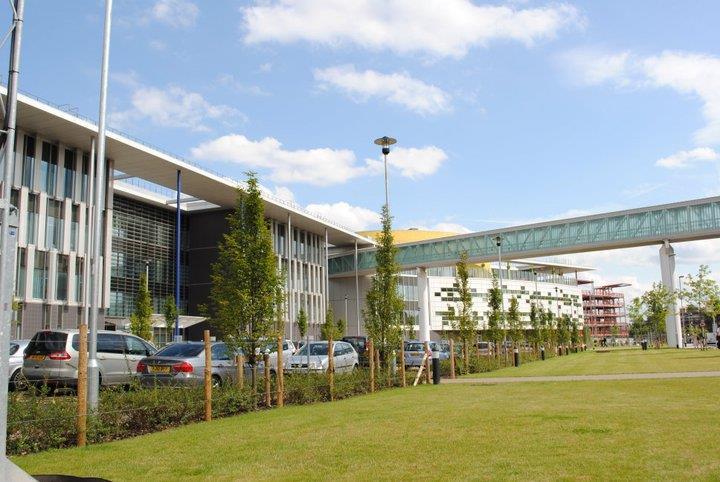 Largest trust overhauls procurement practices after HSJ probe