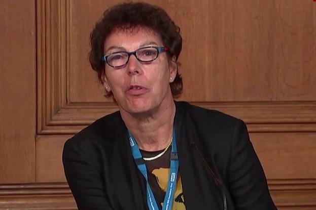 Jane Rigg Top medical director criticised by tribunal after attempted ...