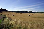 rural farming scene