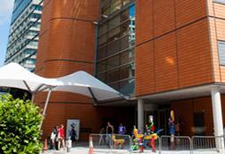 Evelina hospital