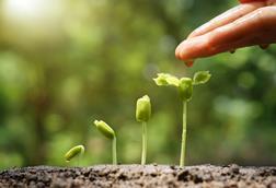 encouraging growth, health, helping something flourish
