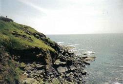 Lizard Cornwall