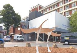 Bedford Hospital