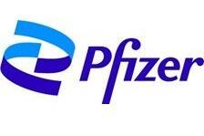 imageedit_3_4343232525