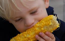 Boy eating corn