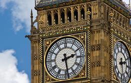 Parliament, policy, politician, government