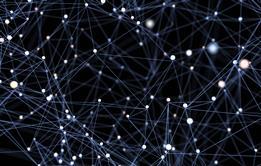 Digital network data