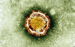 Coronavirus