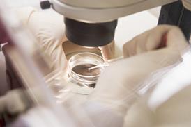 Ivf