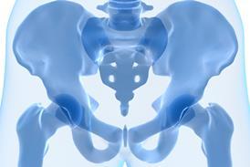 Human hip