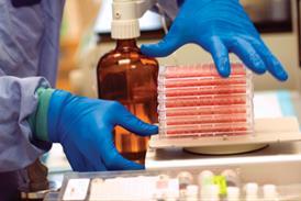A lab technician adjusting samples