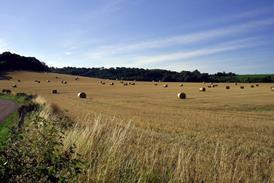 rural farming scene