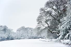 Winter