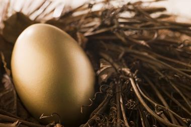 nest_egg_savings_pension_finance