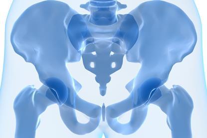 Human hip