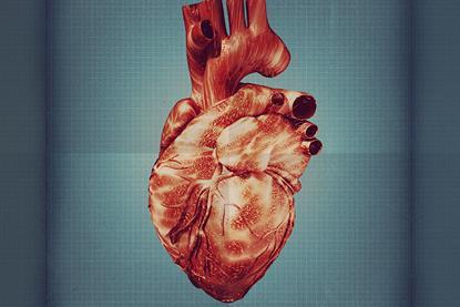 Heart