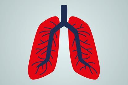 Lungs
