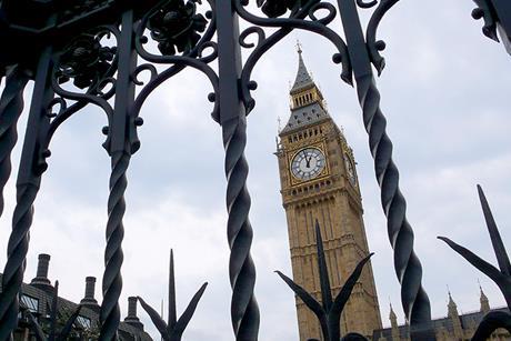 Parliament, policy, politician, government