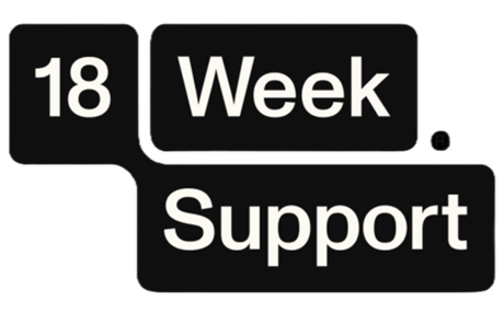 18 WEEK LOGO