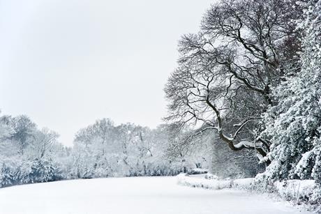 Winter