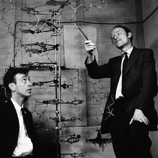 Crick and Watson