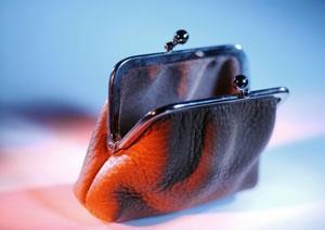An empty generic purse