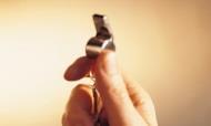 Whistle