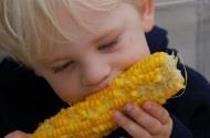 Boy eating corn