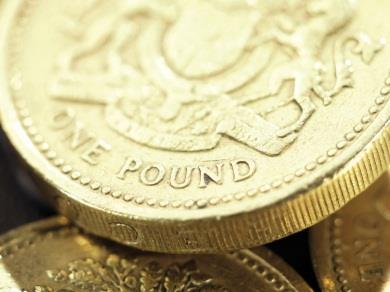 Pound coin