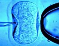 Fertility treatment