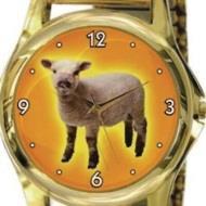 lamb_watchNEW