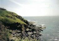 Lizard Cornwall