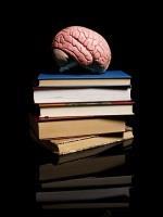 Brain and books