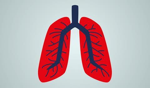 Lungs