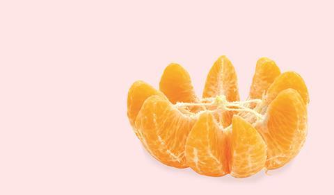 Orange segments