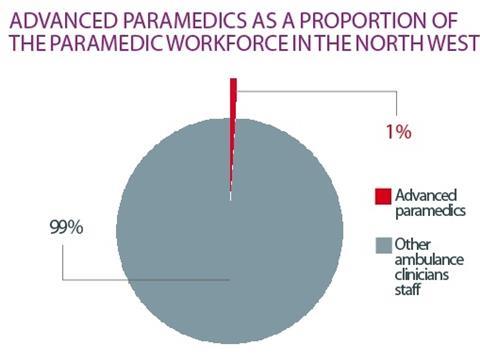 Practitioners pie chart