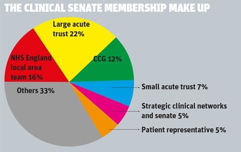 Clinical senate membership make up