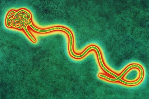 Ebola hemorrhagic fever 