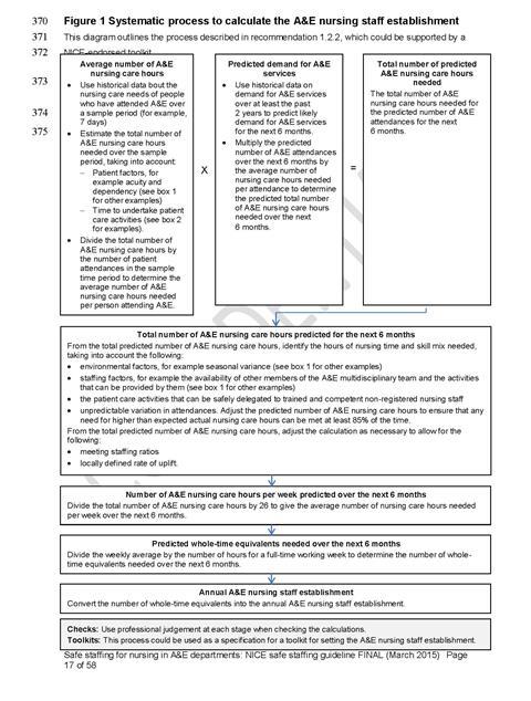 figure 1 systematic process to calculate the a&e nursing staff establishment